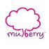Mulberry International Preschool